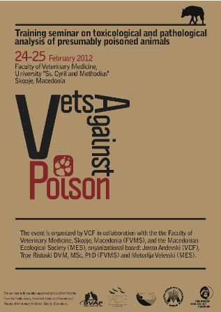 Pictures/Vultures/poster.jpg