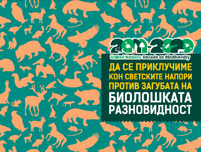 Revision of the National Biodiversity Strategy and Action Plan