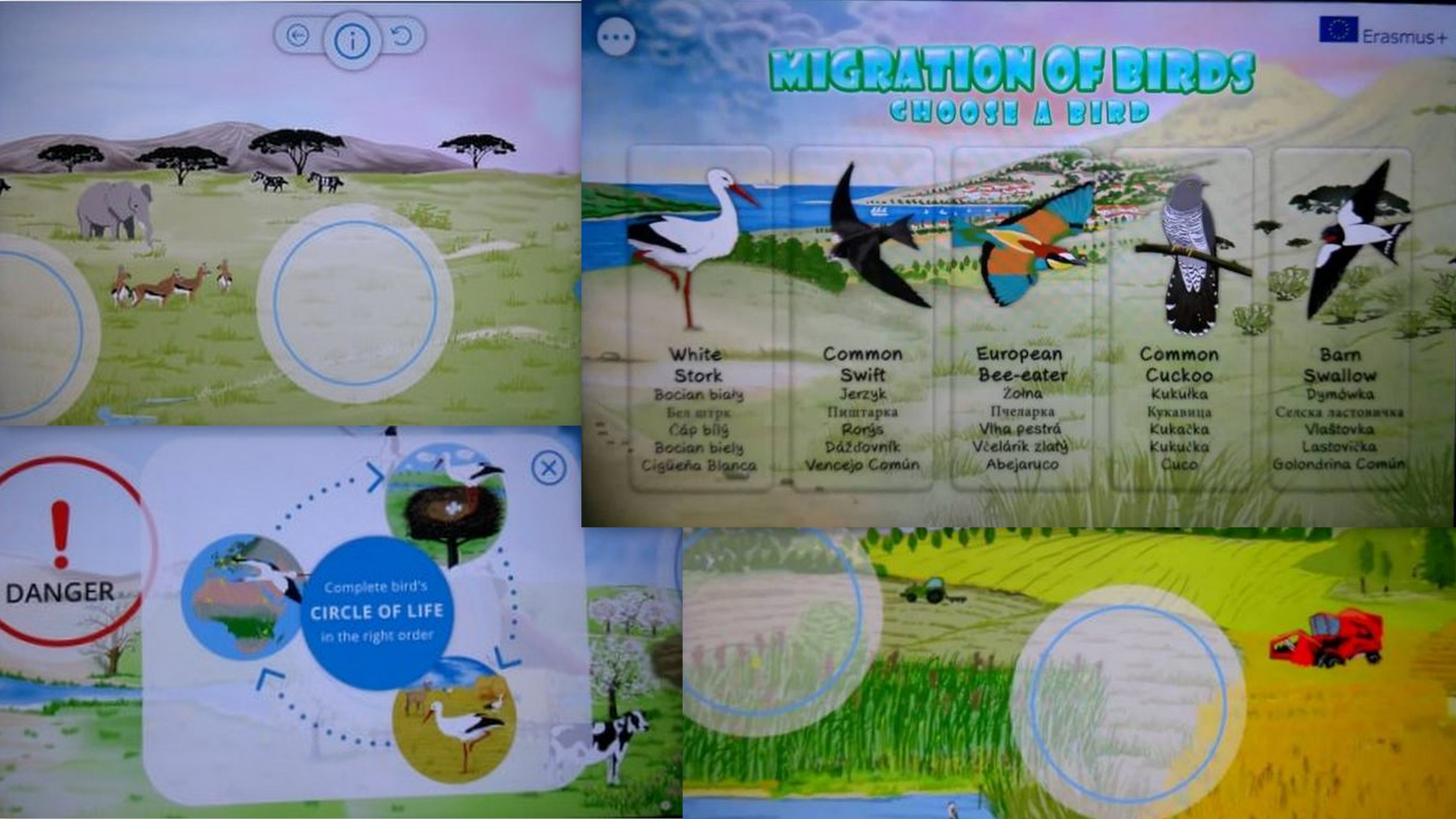 Подготовки за нови едукативни материјали за птиците преселници