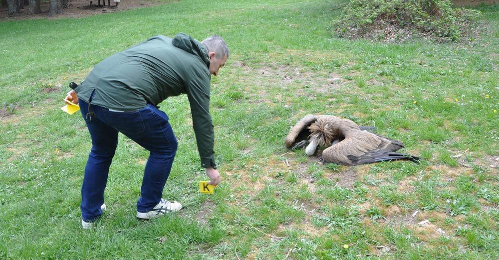 Wildlife Crime Academy