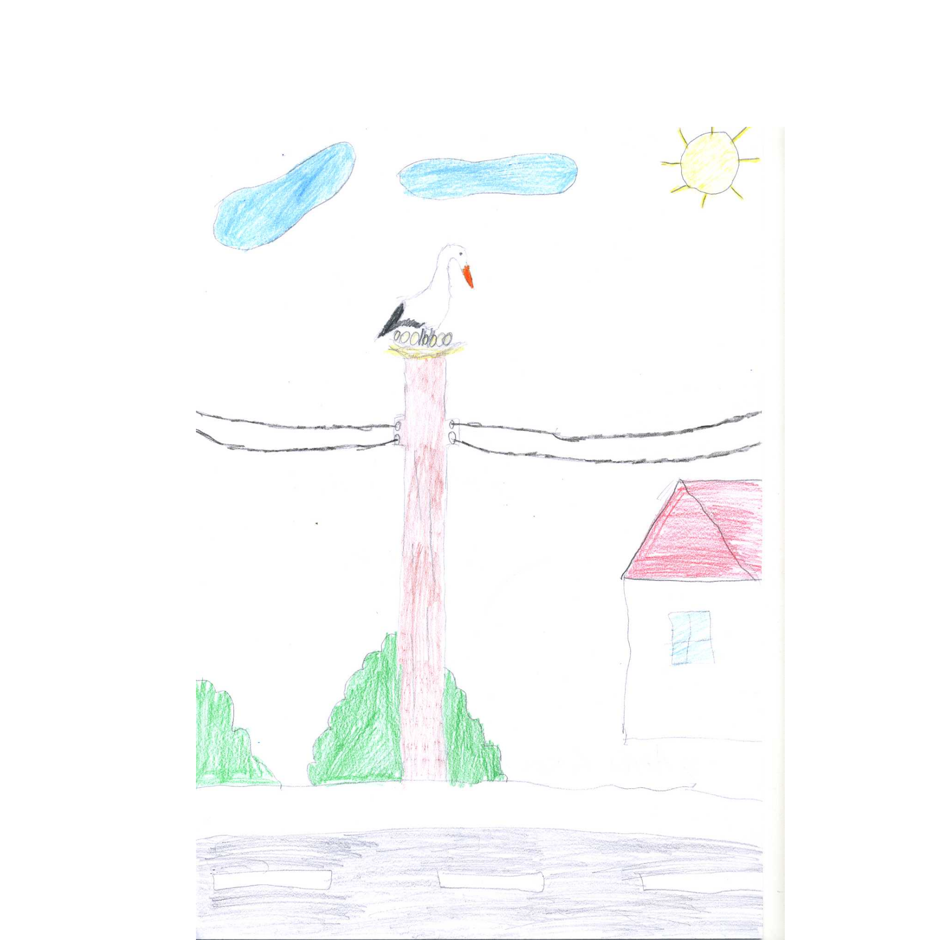 Придружете ни се во прославата на светските денови на птиците преселници