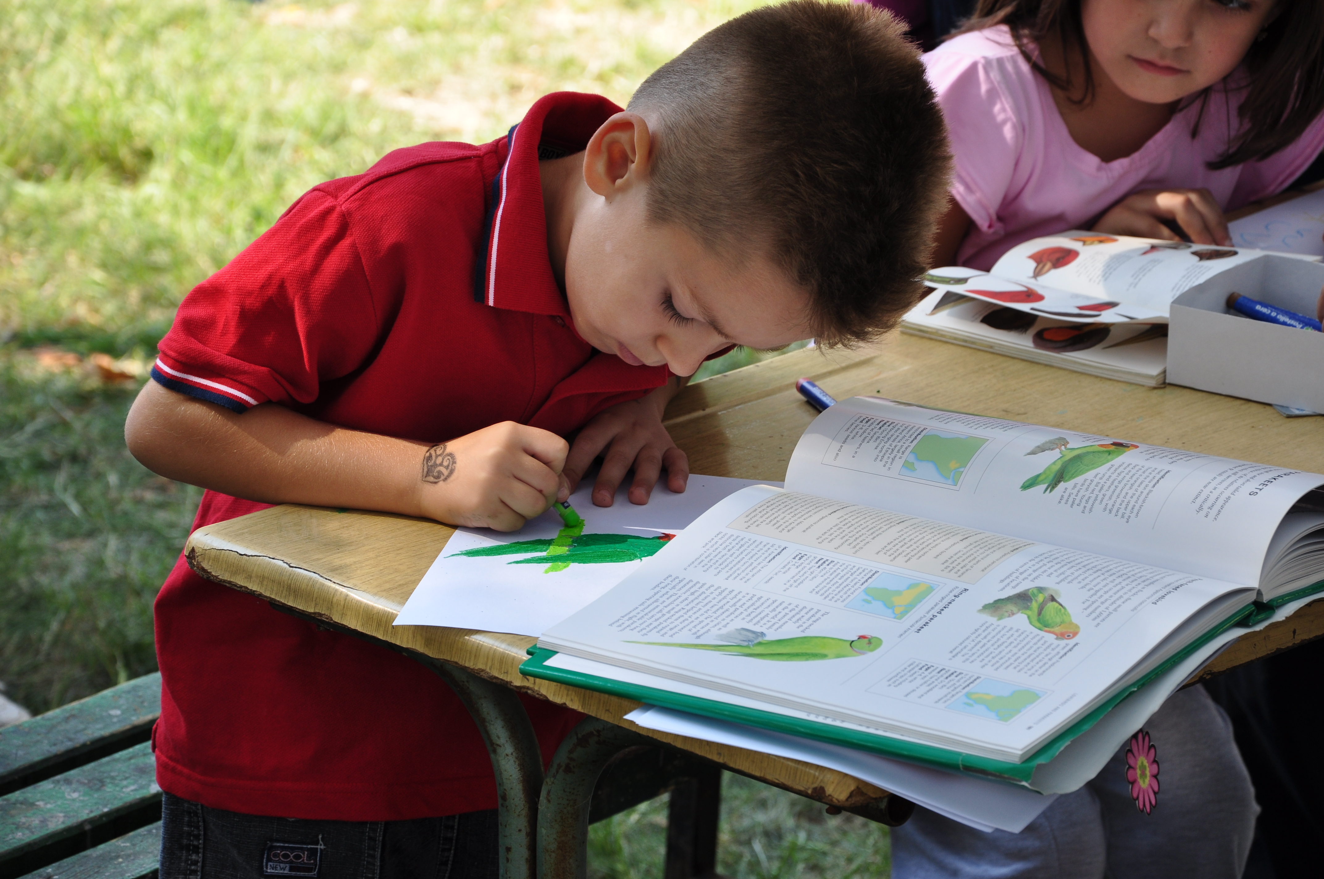 Европски денови на набљудување птици (EuroBirdwatch 2010) во Македонија