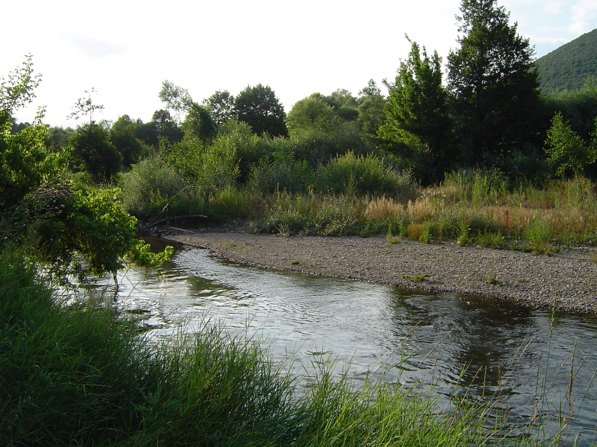 Трибина на тема „Деградација на реката Треска и нејзините притоки – закани и предизвици“, септември 2012