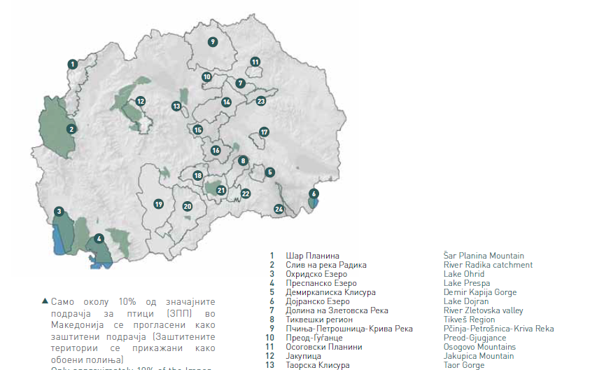 Работилница: „Состојба на птиците во Македонија“