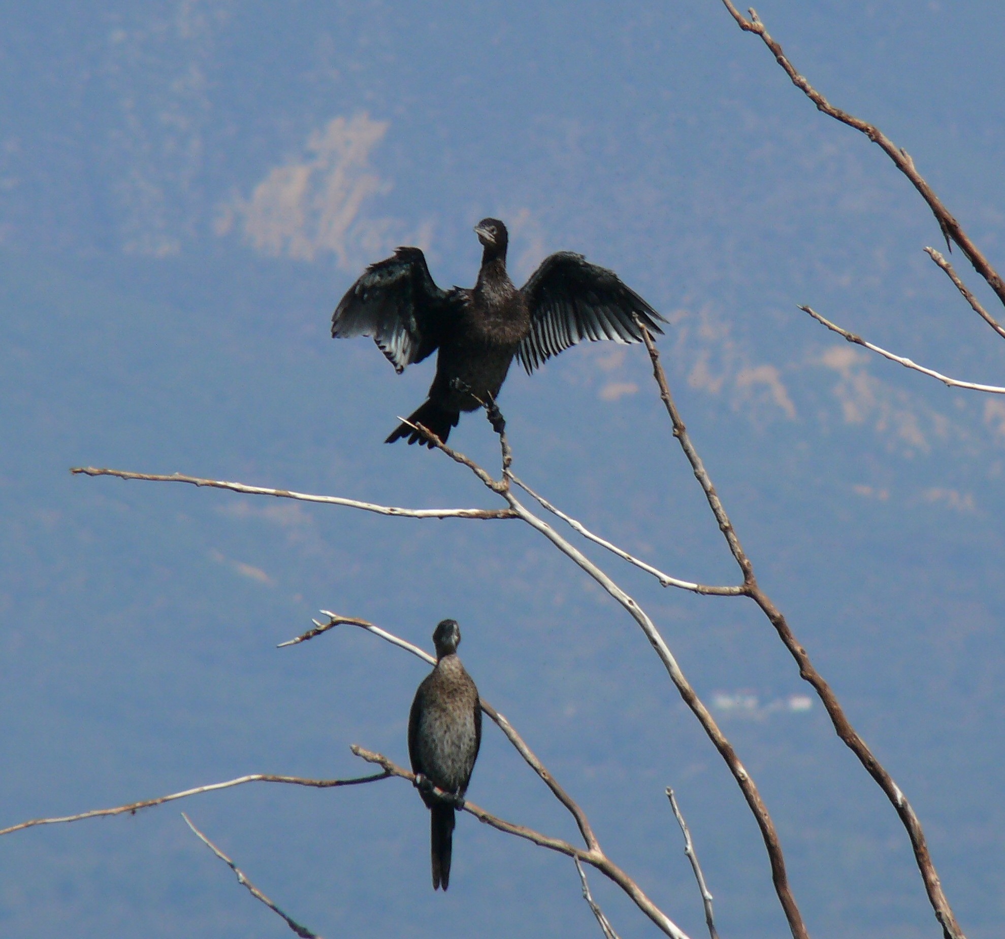 Почеток на проектот „Едукација и јакнење на капацитетите за заштита на Дојранското Езеро, приоритетно клучно подрачје за биолошка разновидност“