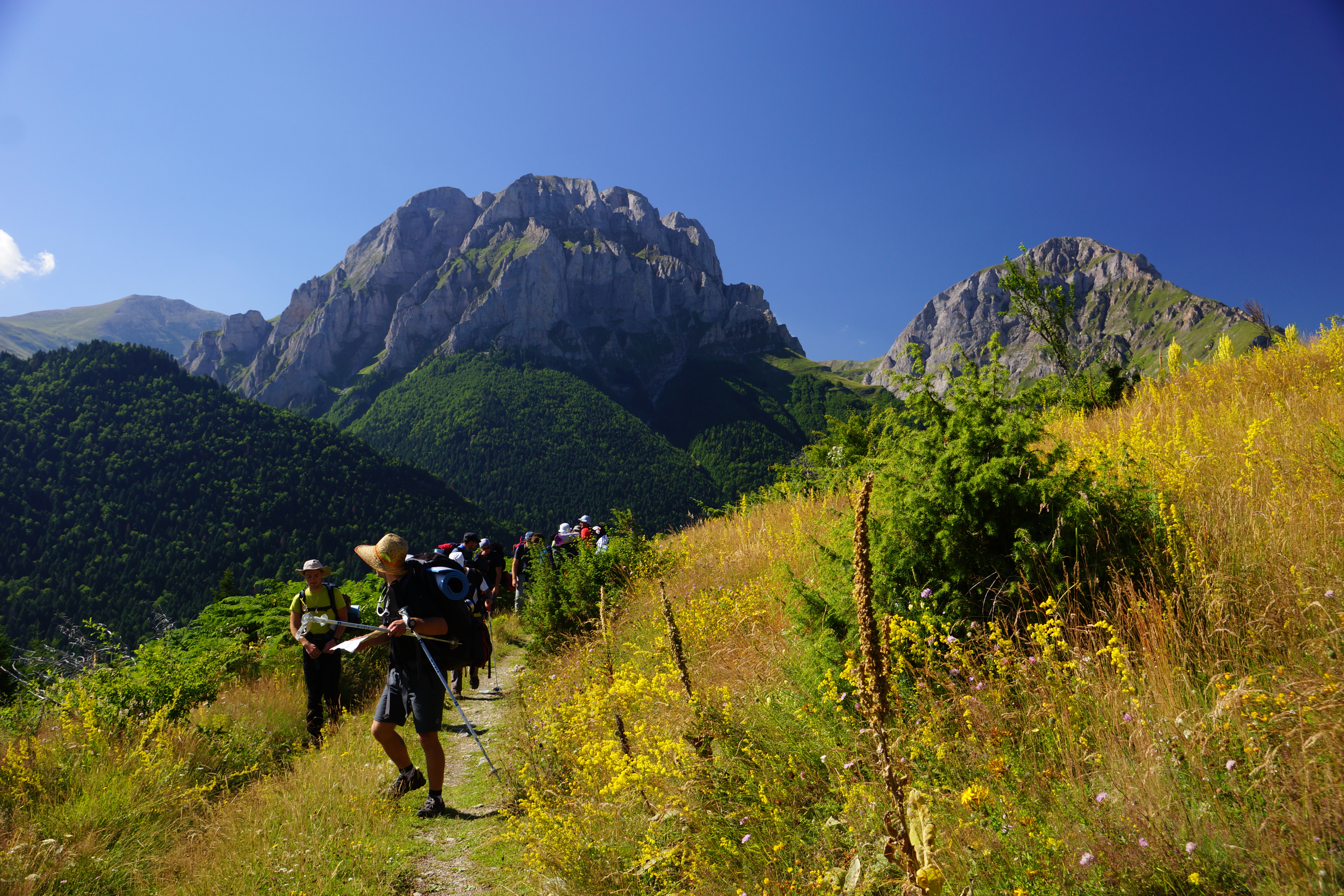 Biodiversity Conservation through Sustainable Management of Resources in Shar Mountain