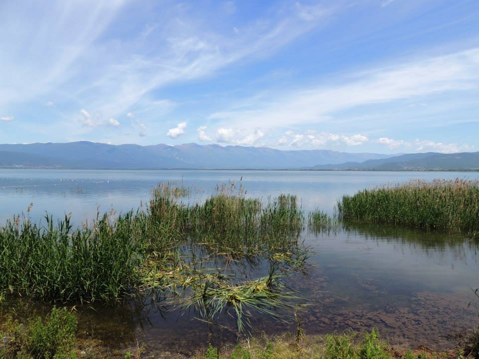 Education and capacity building for conservation of the priority KBA Lake Dojran