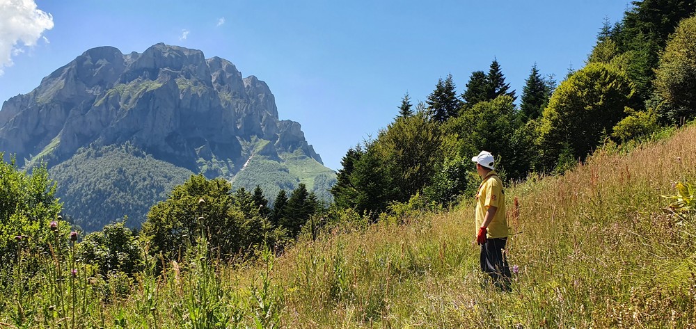 Еcosystem Research of Forest Mires in the Heart of Shar Mountain – Marija Trencheva