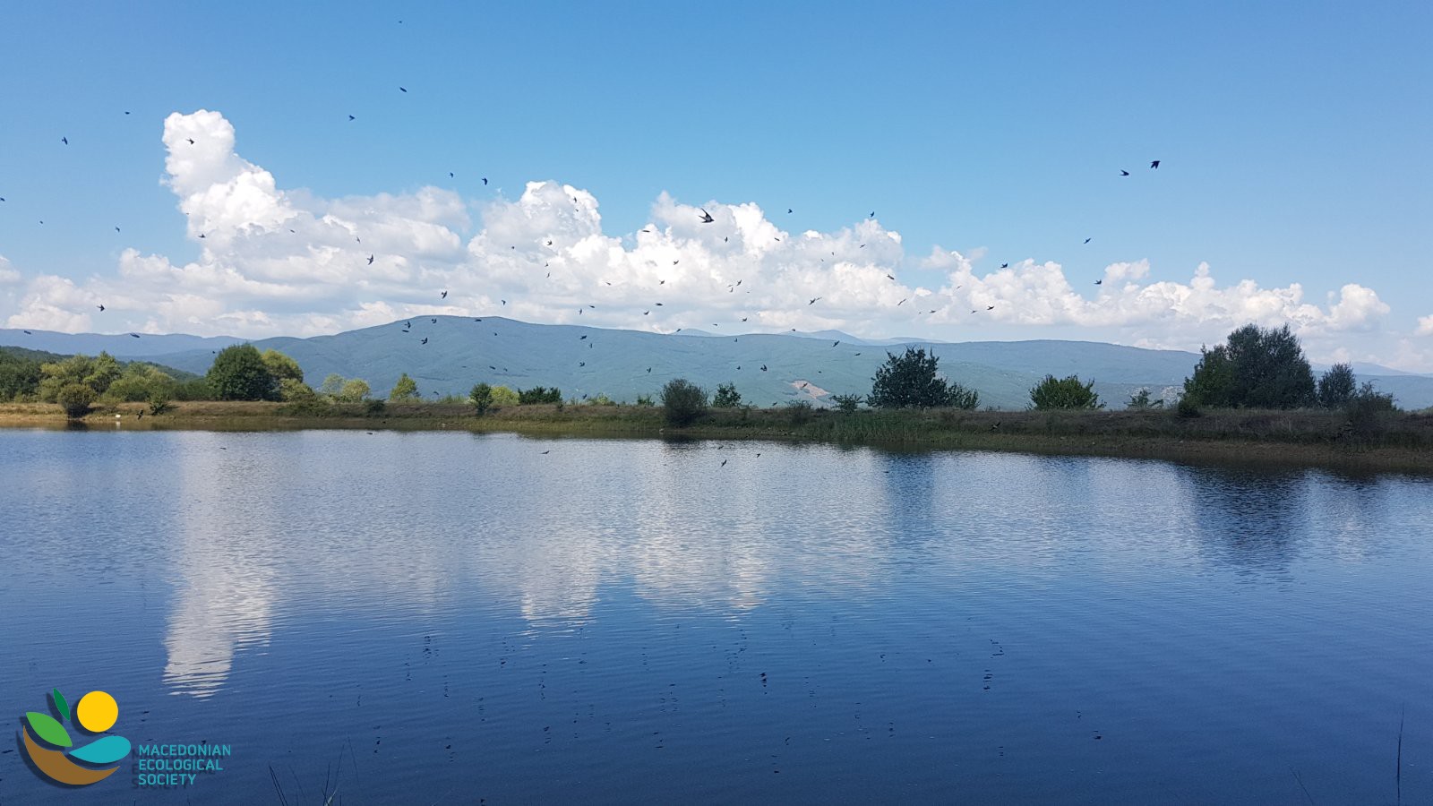 VALORIZATION OF FRESHWATER HABITATS IN DEMIR HISAR REGION USING DIATOMS SAMPLES – Hristina Naumovska