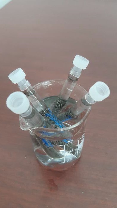 Establishing Methods for Determining and Monitoring Volatile Organic Compounds in the Air of Skopje – Ivona Sofronievska