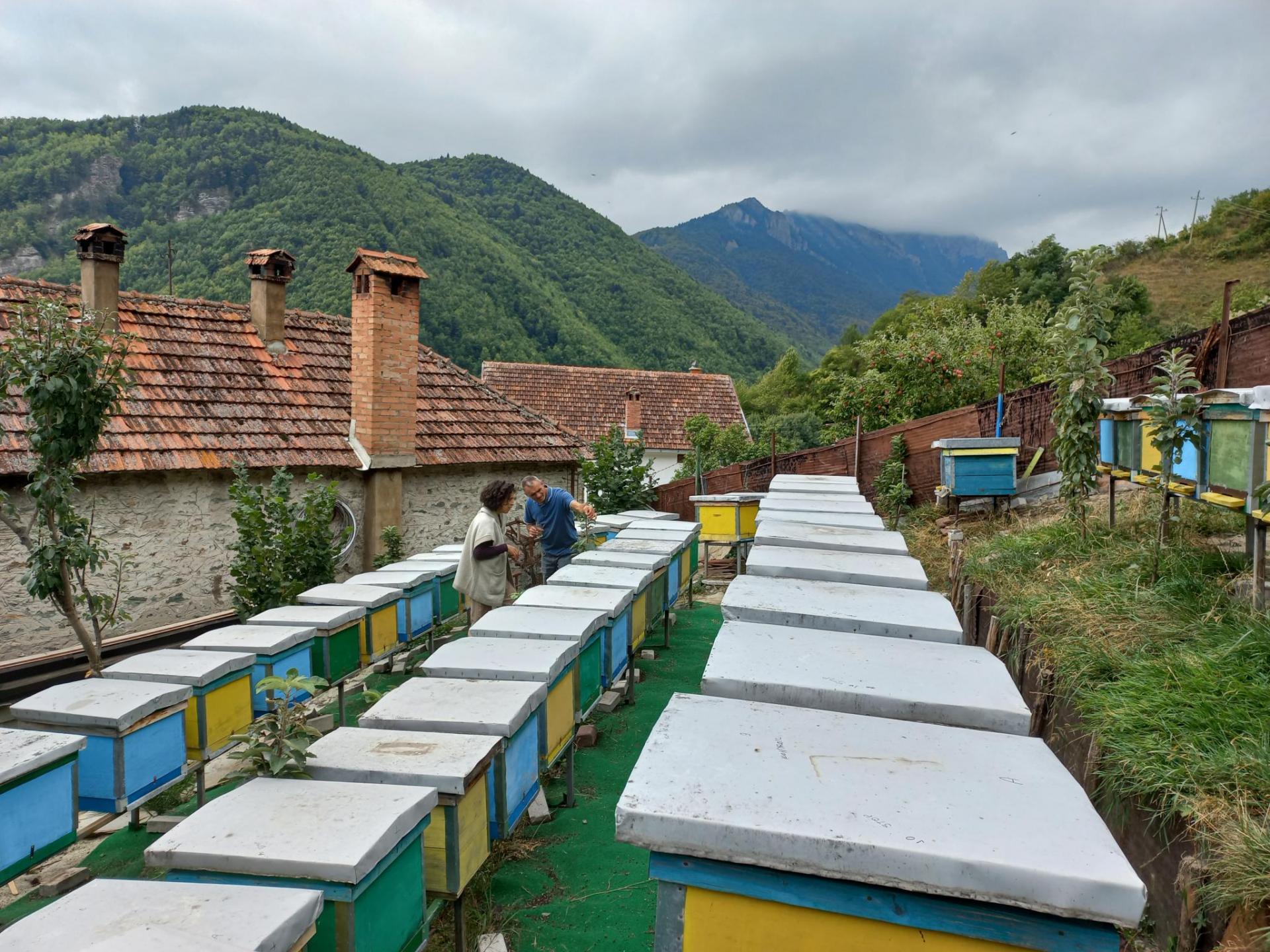 A total of 13 model projects supported within the project “Sustainable future for Shara/Korab-Koritnik Region” in all three countries