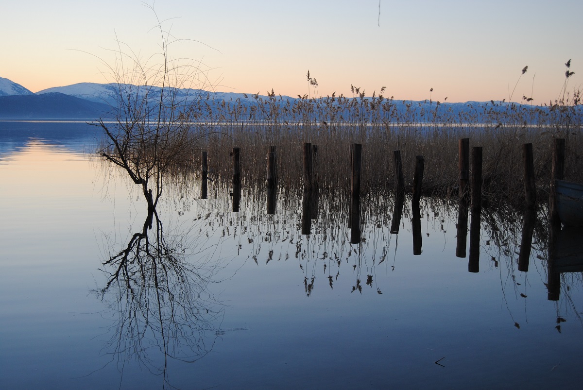 Call for Procurement of GPS Devices