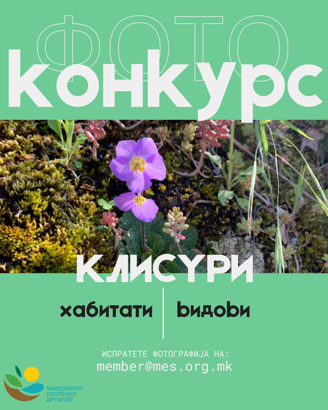 Gorge Photography Contest