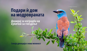 Подари дом за модровраната – донирај денес!